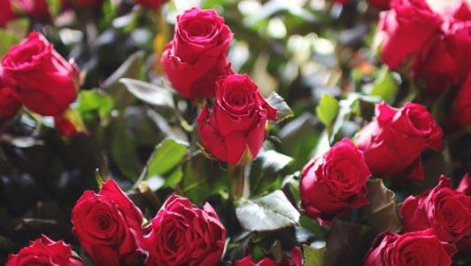 Wedding Hotels in Scotland